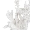 FIGURA CORAL BLANCO RESINA DECORACIÓN 17 X 17 X 20 CM - Imagen 4