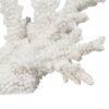 FIGURA CORAL BLANCO RESINA DECORACIÓN 34 X 13 X 27 CM - Imagen 6