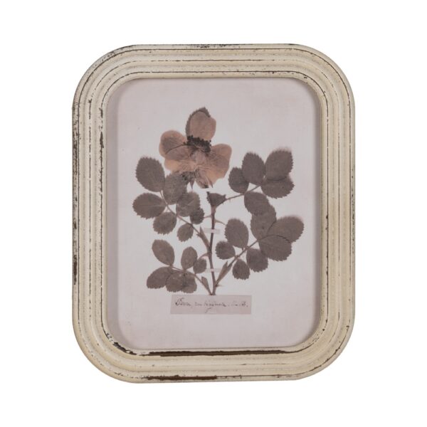 CUADRO IMPRESIÓN FLORES 4/M DM-CRISTAL 25 X 2 X 30 CM - Imagen 3