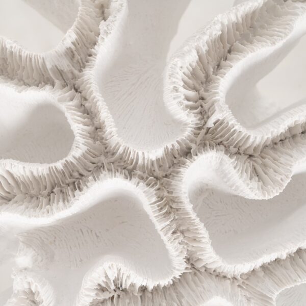 FIGURA CORAL BLANCO RESINA DECORACIÓN 28 X 28 X 10 CM - Imagen 5