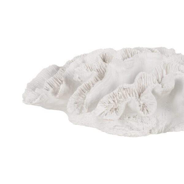 FIGURA CORAL BLANCO RESINA DECORACIÓN 28 X 28 X 10 CM - Imagen 6