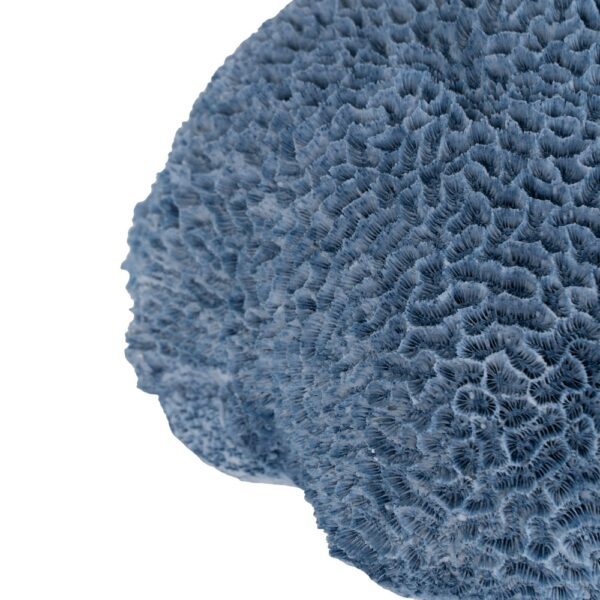 FIGURA ESPONJA AZUL RESINA DECORACIÓN 23 X 21 X 11 CM - Imagen 5